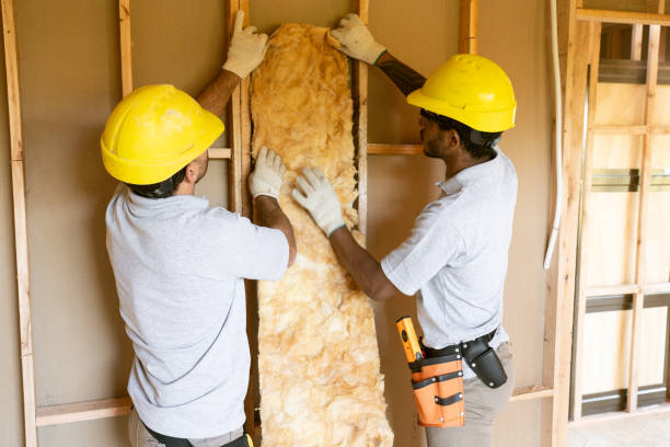 Best Best Insulation Companies  in Lancaster, KY