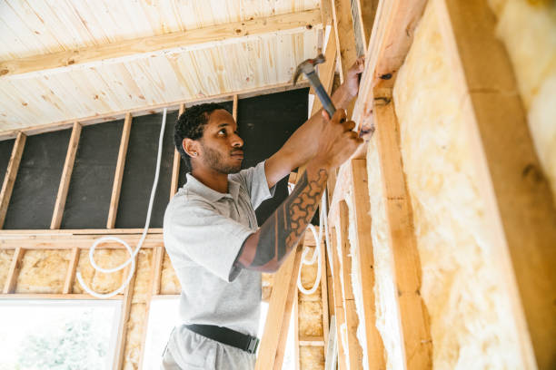 Best Cellulose Insulation  in Lancaster, KY